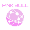 合同会社Pink Bull